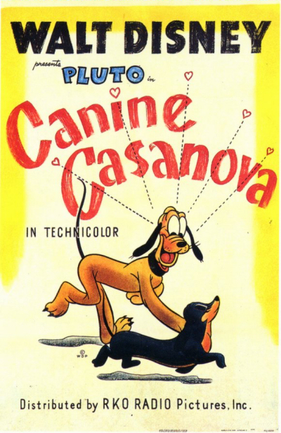 Casanova Canin